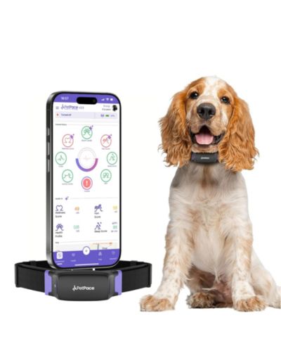 Petpace Dog Health Monitoring Collar