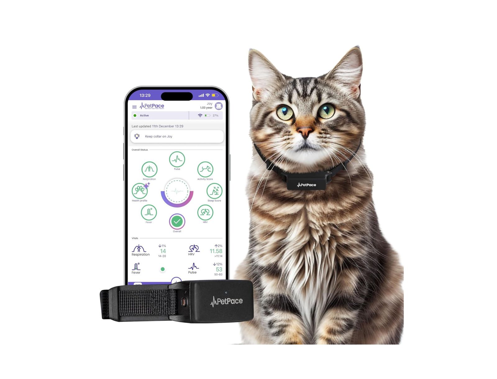 Petpace Cat Health Monitoring Collar