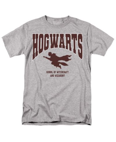 Harry Potter Men's Hogwarts Flying T Shirt