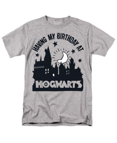 Мужская футболка Harry Potter Birthday At Hogwarts