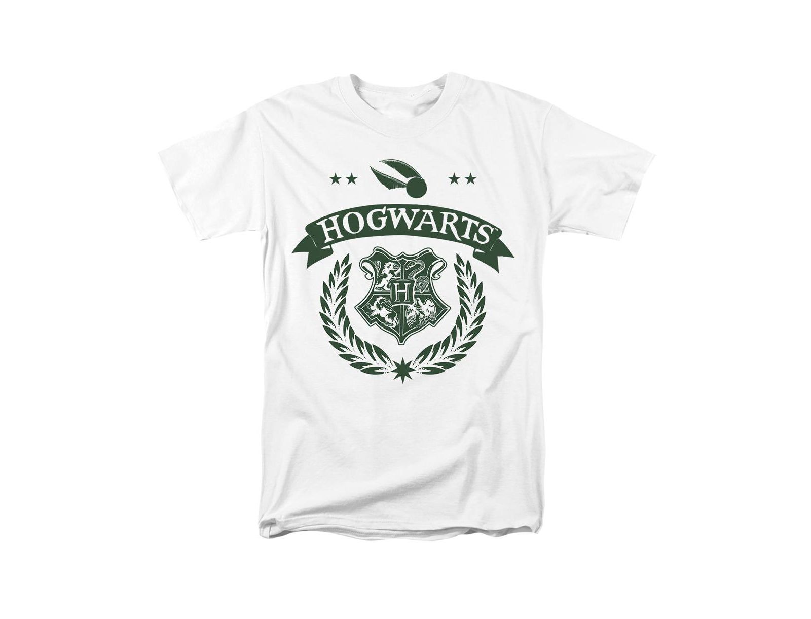 Harry Potter Big & Tall Quidditch School Test T Shirt