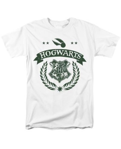 Harry Potter Big & Tall Quidditch School Test T Shirt