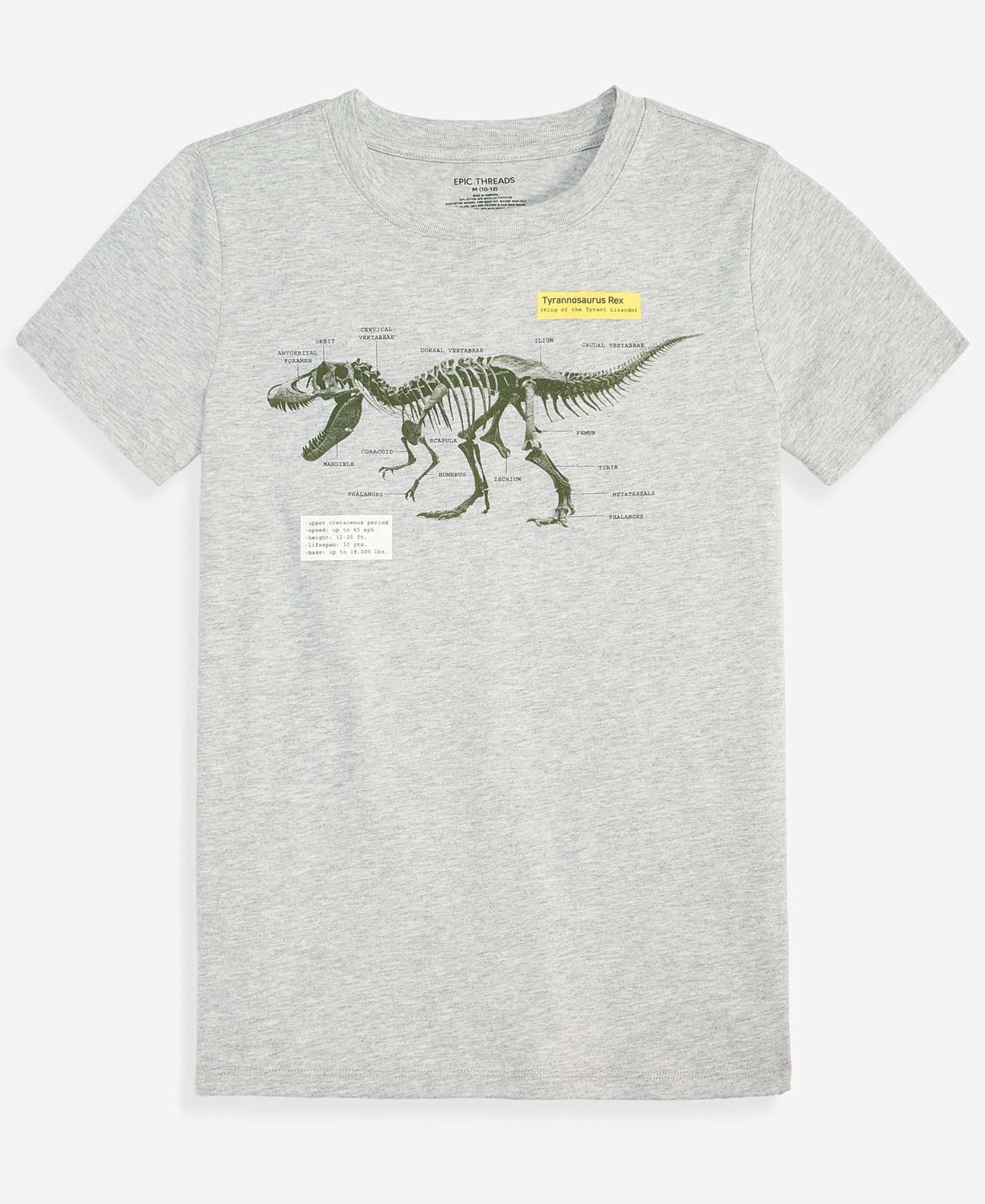 Epic Threads Boys' XS-XL Dinosaur Graphic T-Shirt,  Macy's Exclusive