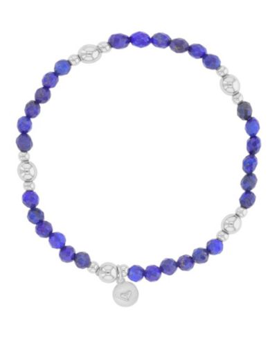 Roxy Waterproof Platinum Blue Rhodonite Stretch Bracelet