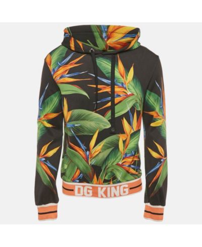 Мужское худи Dolce & Gabbana Black Bird Of Paradise Print Cotton Hooded