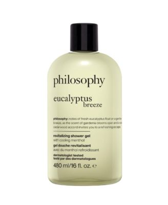 philosophy гель для душа Eucalyptus Breeze, 16 oz.