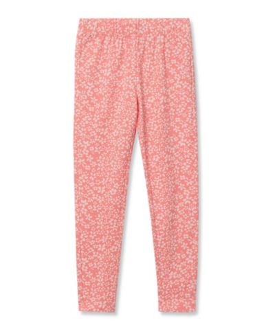 Salmon rose floral