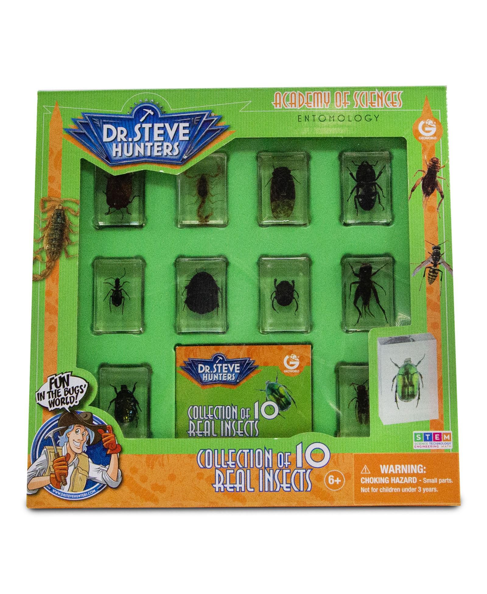 Коллекция из 10 настоящих насекомых Geoworld Bug's World
