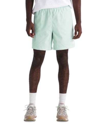 Мужские шорты The North Face Class V Pathfinder Pull-On