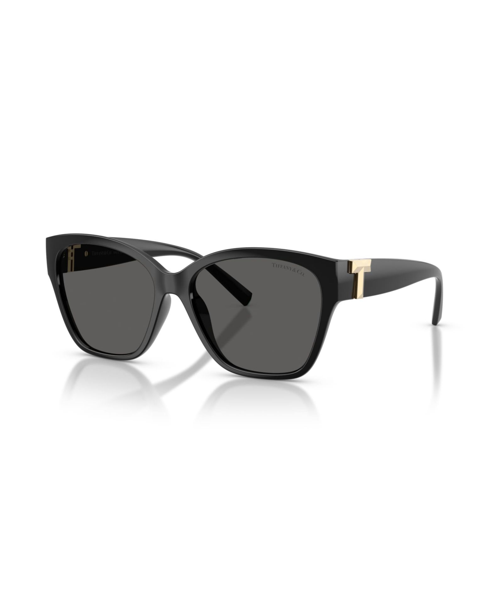 Tiffany & Co. Women's Square Sunglasses, TF4254U