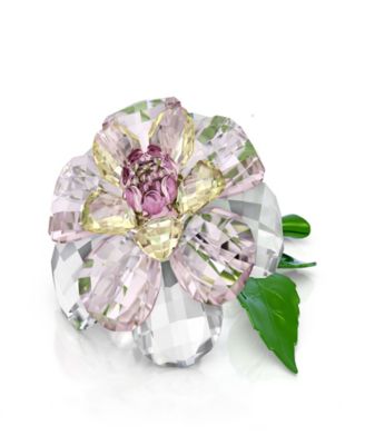 Swarovski Хрустальная фигурка Florere Camellia