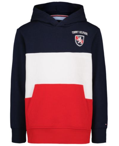 Мужское худи Tommy Hilfiger с логотипом, цветной блок, для детей 8-20