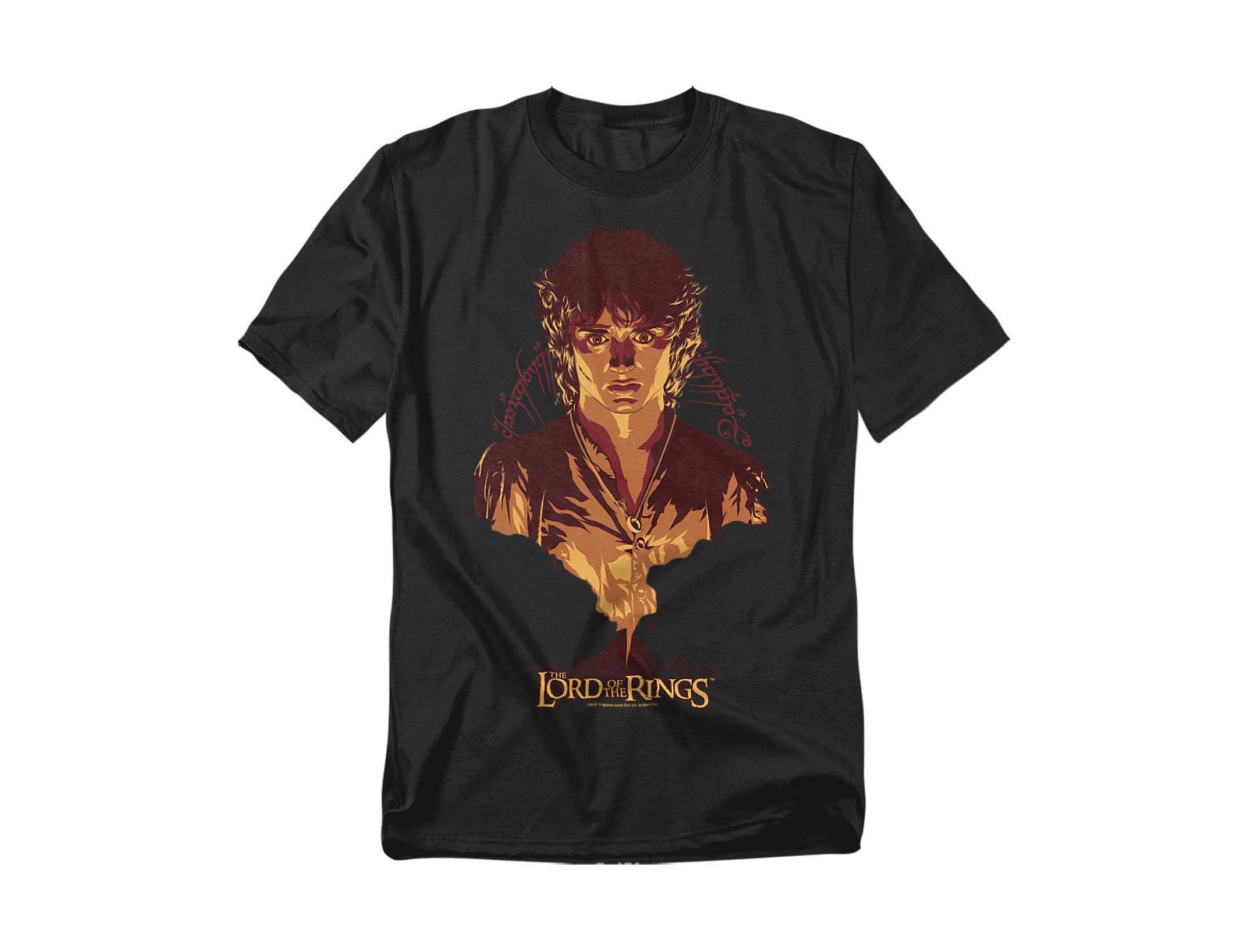 Lord Of The Rings Men's Frodo Mount Doom T-Shirt