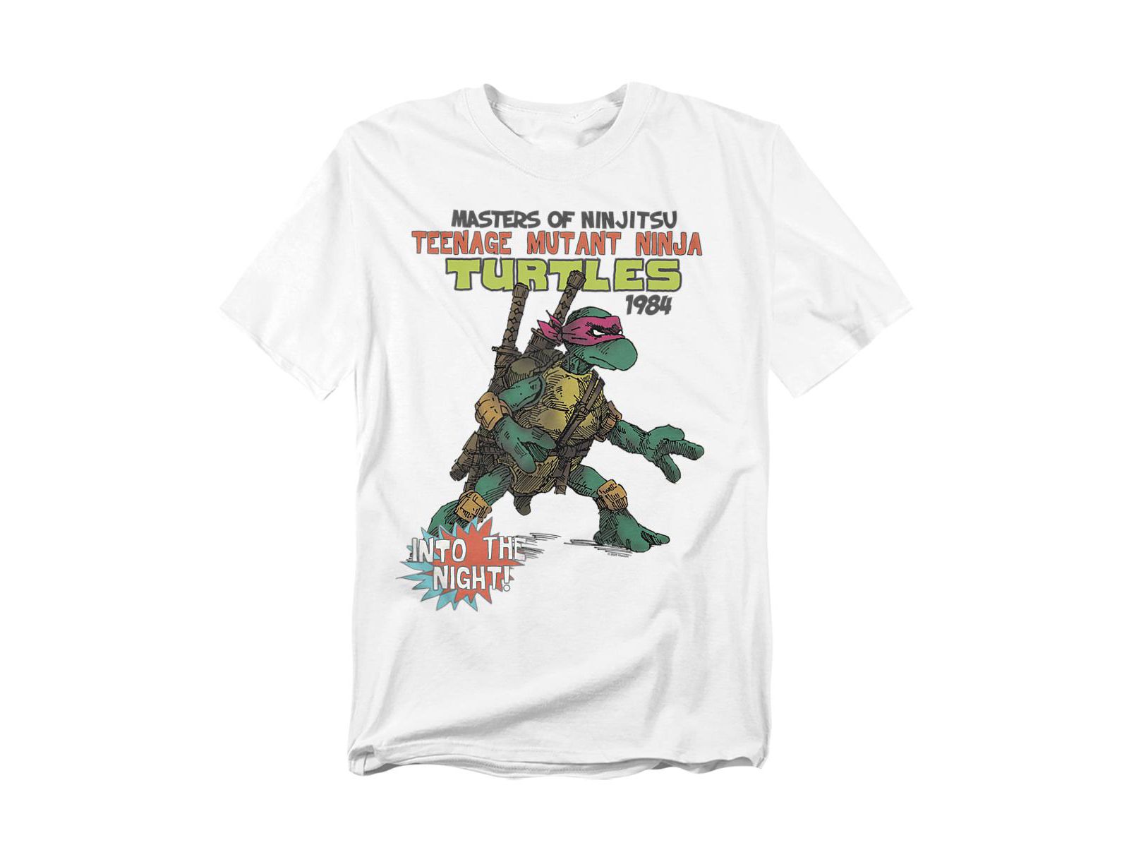 Teenage Mutant Ninja Turtles Men's Into The Night Cover T-Shirt