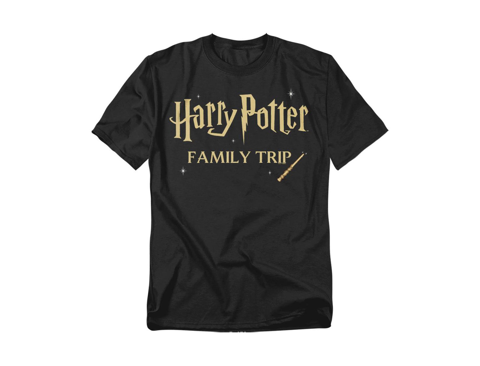 Harry Potter Мужская футболка Family Trip Wand