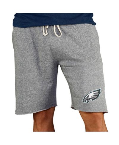Мужские шорты Concepts Sport Gray Philadelphia Eagles Mainstream Terry