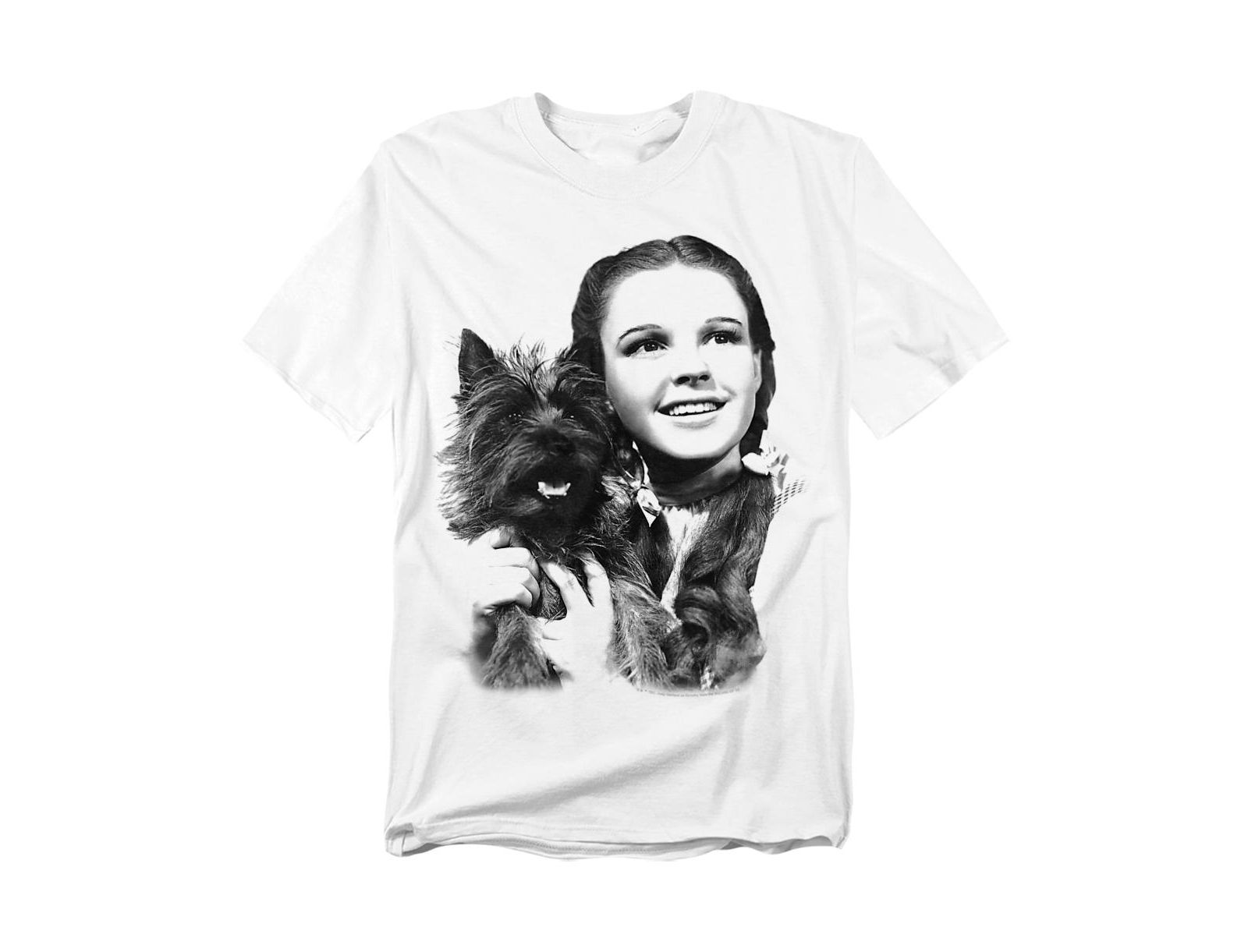 Wizard Of Oz Men's The Dorothy And Toto T-Shirt