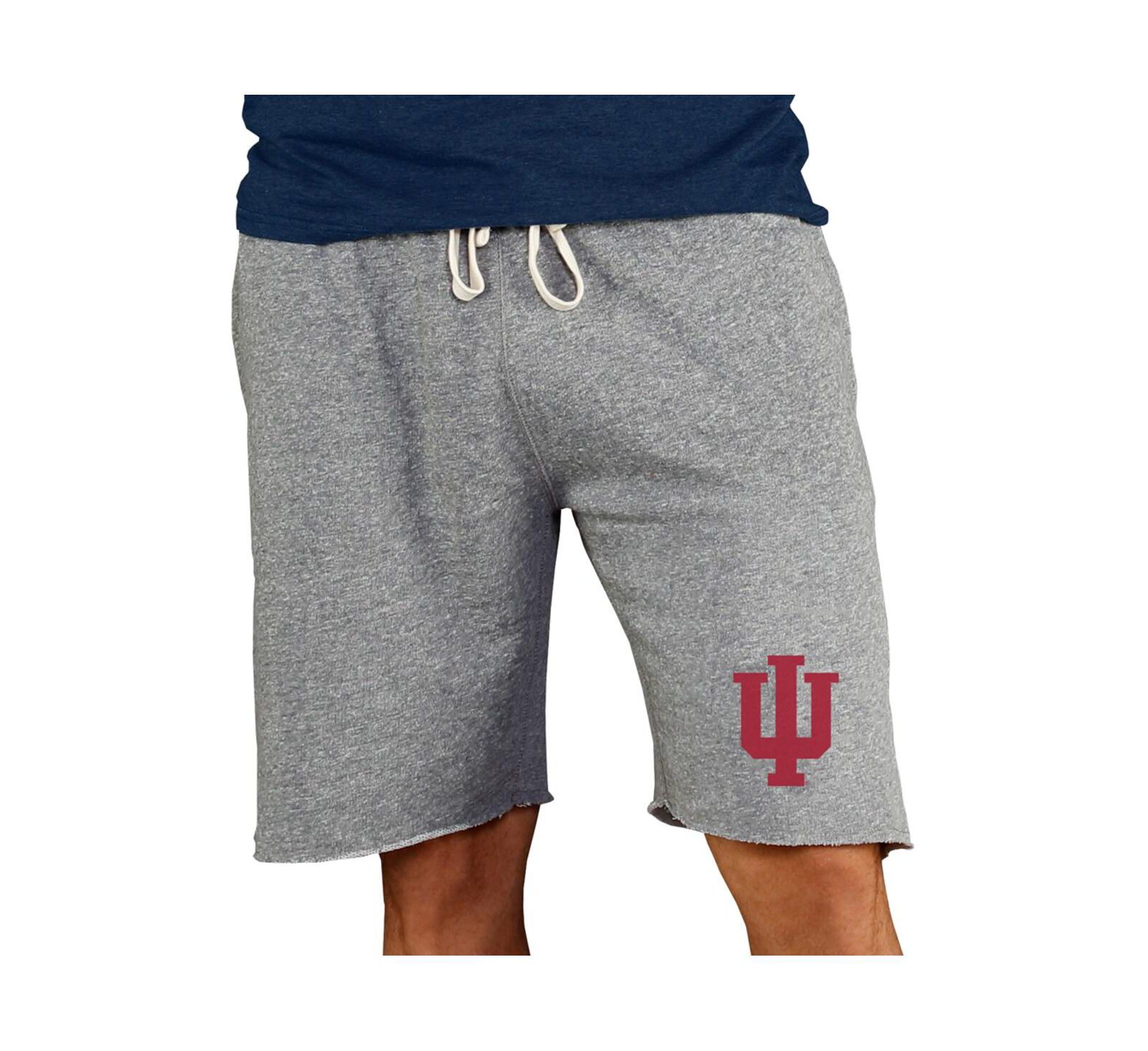 Concepts Sport Men's Gray Indiana Hoosiers Mainstream Terry Shorts