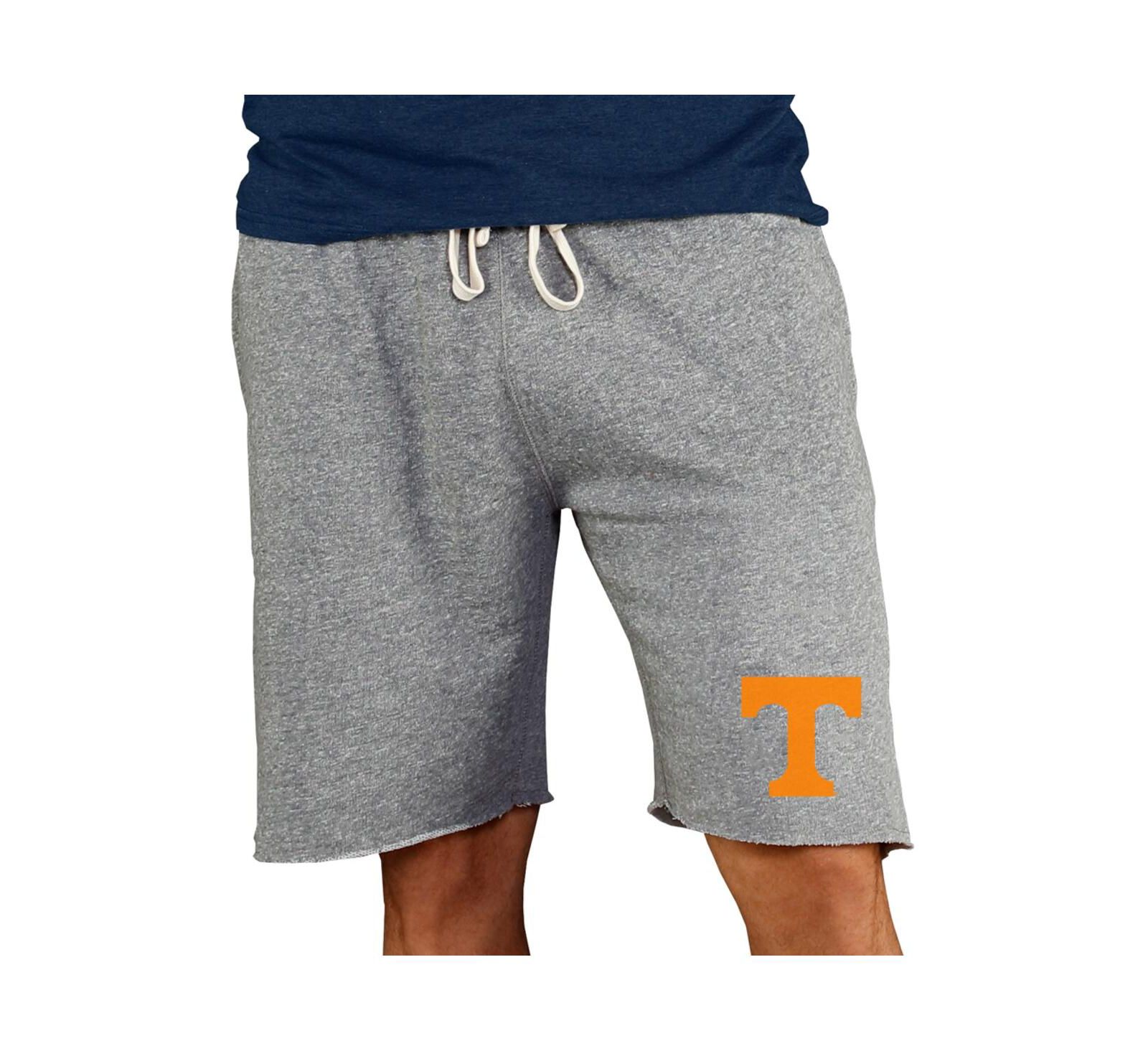 Concepts Sport Men's Gray Tennessee Volunteers Mainstream Terry Shorts