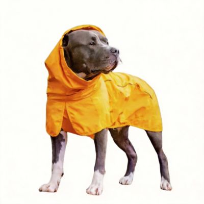 Mustard yellow