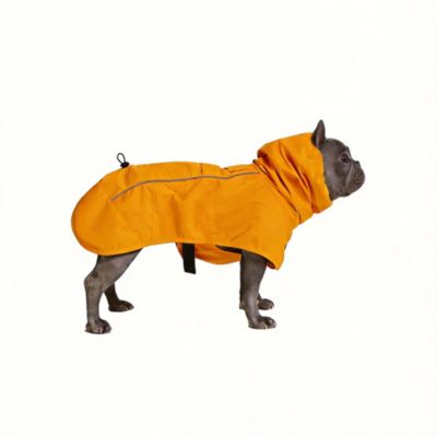 Mustard yellow