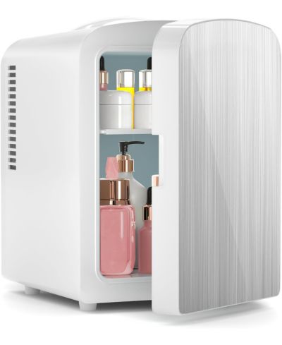 Antarctic Star Brushed Stainless Steel Mini Fridge, 4L Portable Cooler (AC/DC)