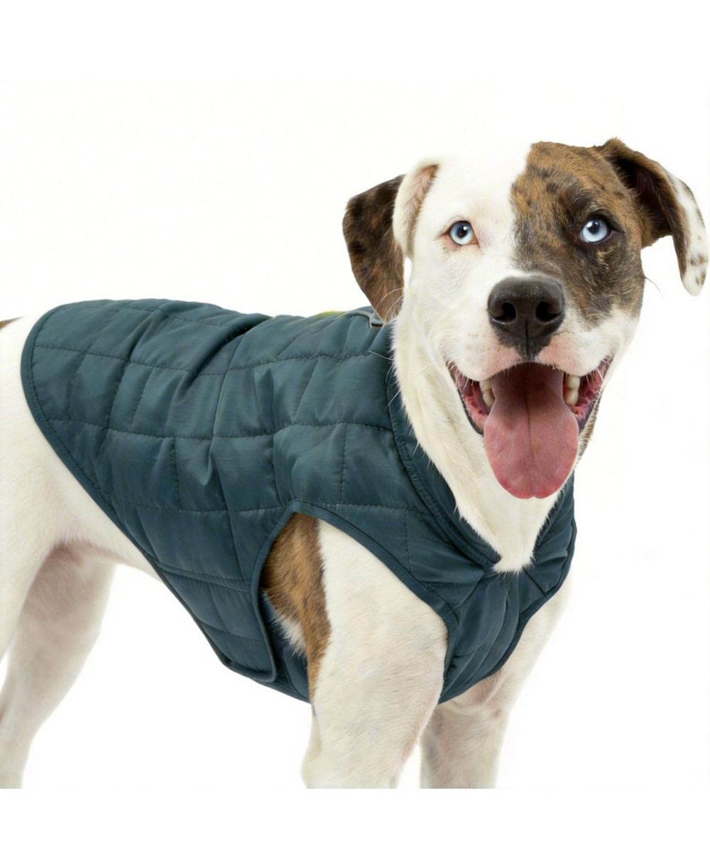 Куртка для собак ARONKL Loft Dog Jacket, утепленная, реверсивная, водонепроницаемая