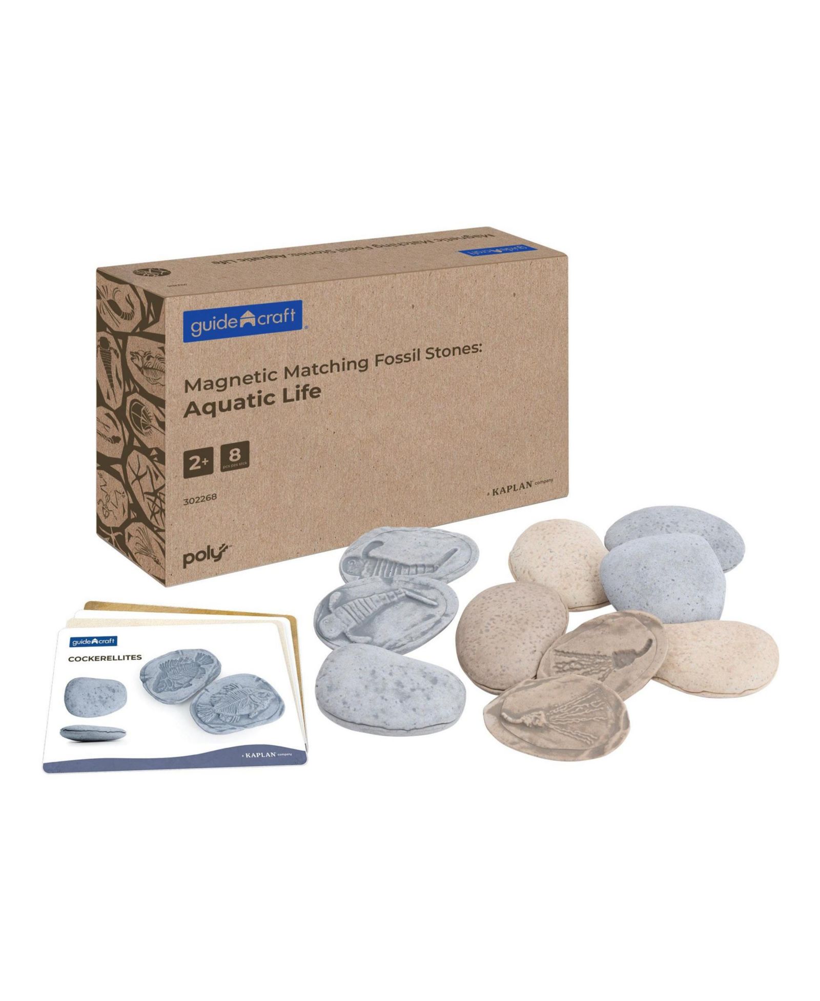 Набор Kaplan Early Learning Magnetic Matching Aquatic Life Fossil Stones - Set of 8