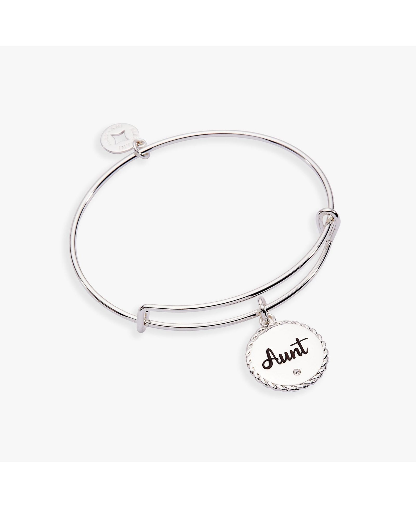 Alex and Ani Aunt, 'Trusting Guide' Charm Bangle