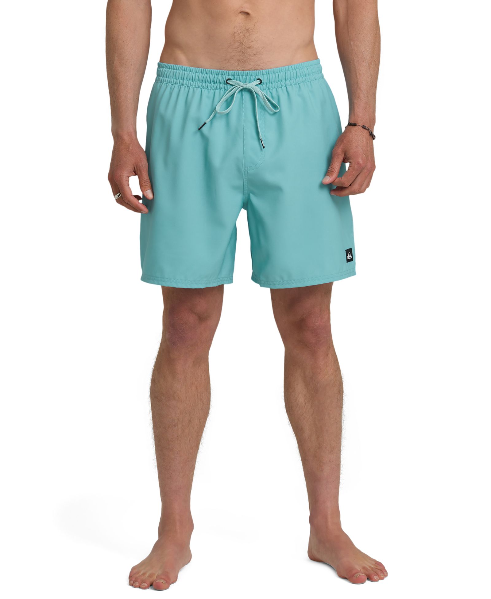 Quiksilver Men's Everyday Swim Shorts