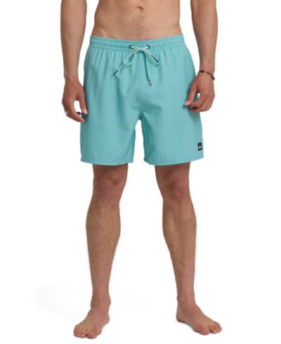 Quiksilver Men's Everyday Swim Shorts