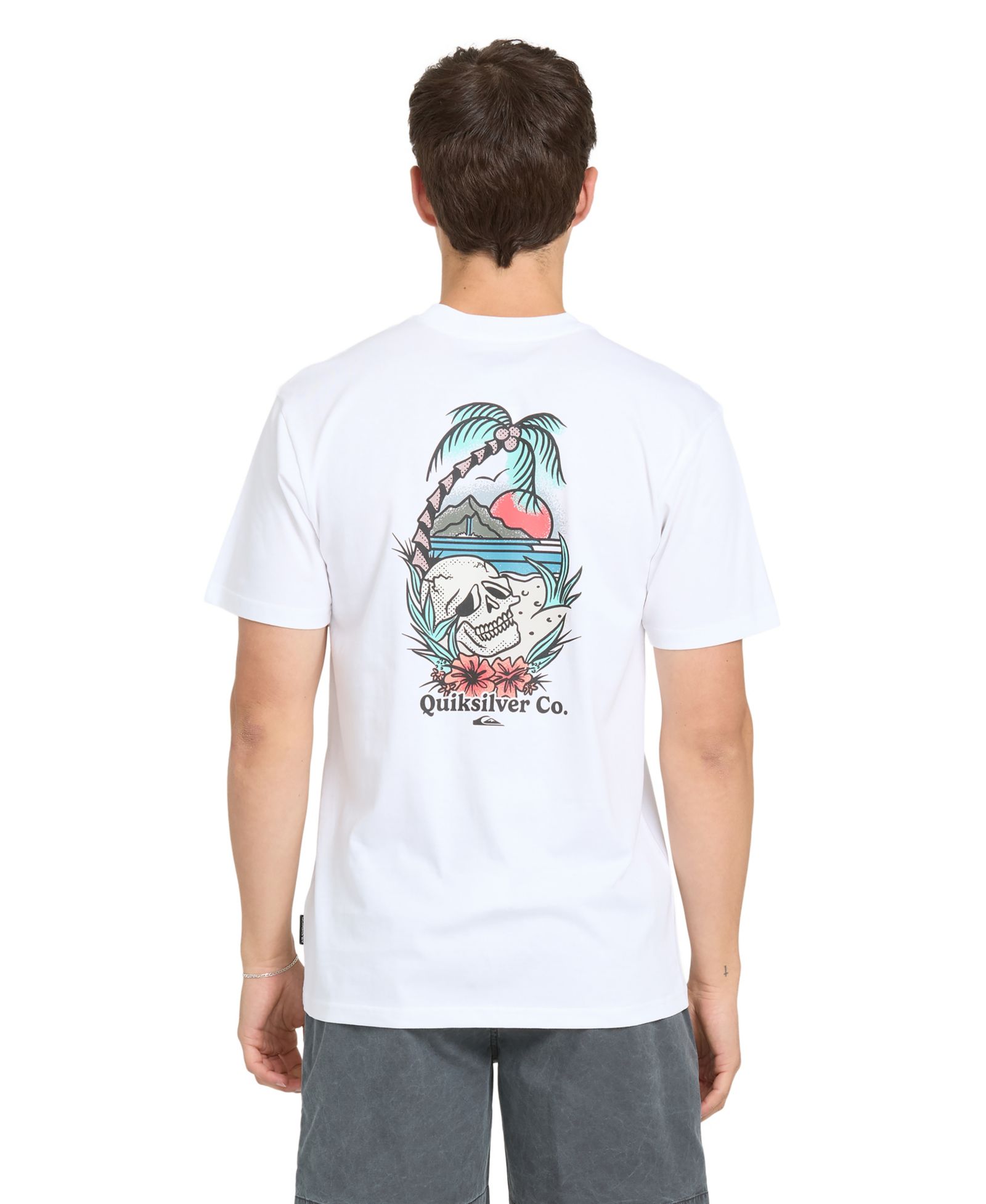 Quiksilver Men's Staycation Short-Sleeve T-Shirt