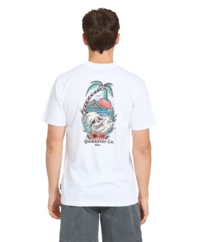 Quiksilver Мужская футболка с коротким рукавом Staycation