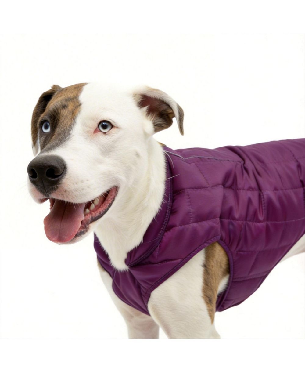 Куртка для собак ARONKL Loft Dog Jacket