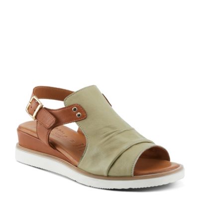 Olive multi