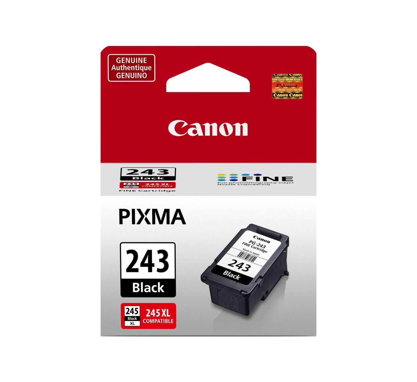 Canon 1287C001 (PG-243) чернила - Black