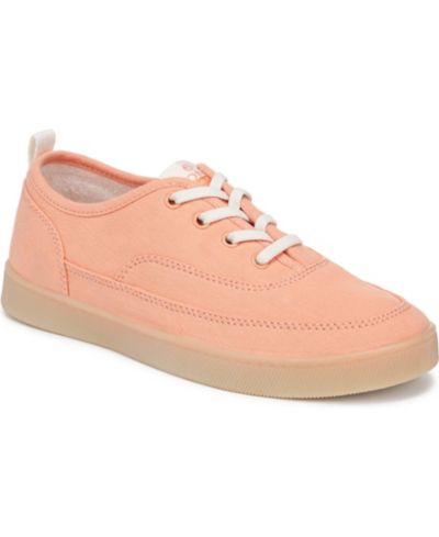 Shell coral canvas