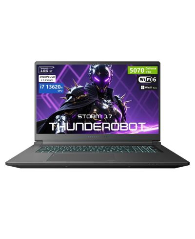 THUNDEROBOT ноутбук Storm 17.3" Intel Core i7 32GB RAM NVIDIA GeForce RTX 5070 2TB SSD Windows 11 Home 165Hz