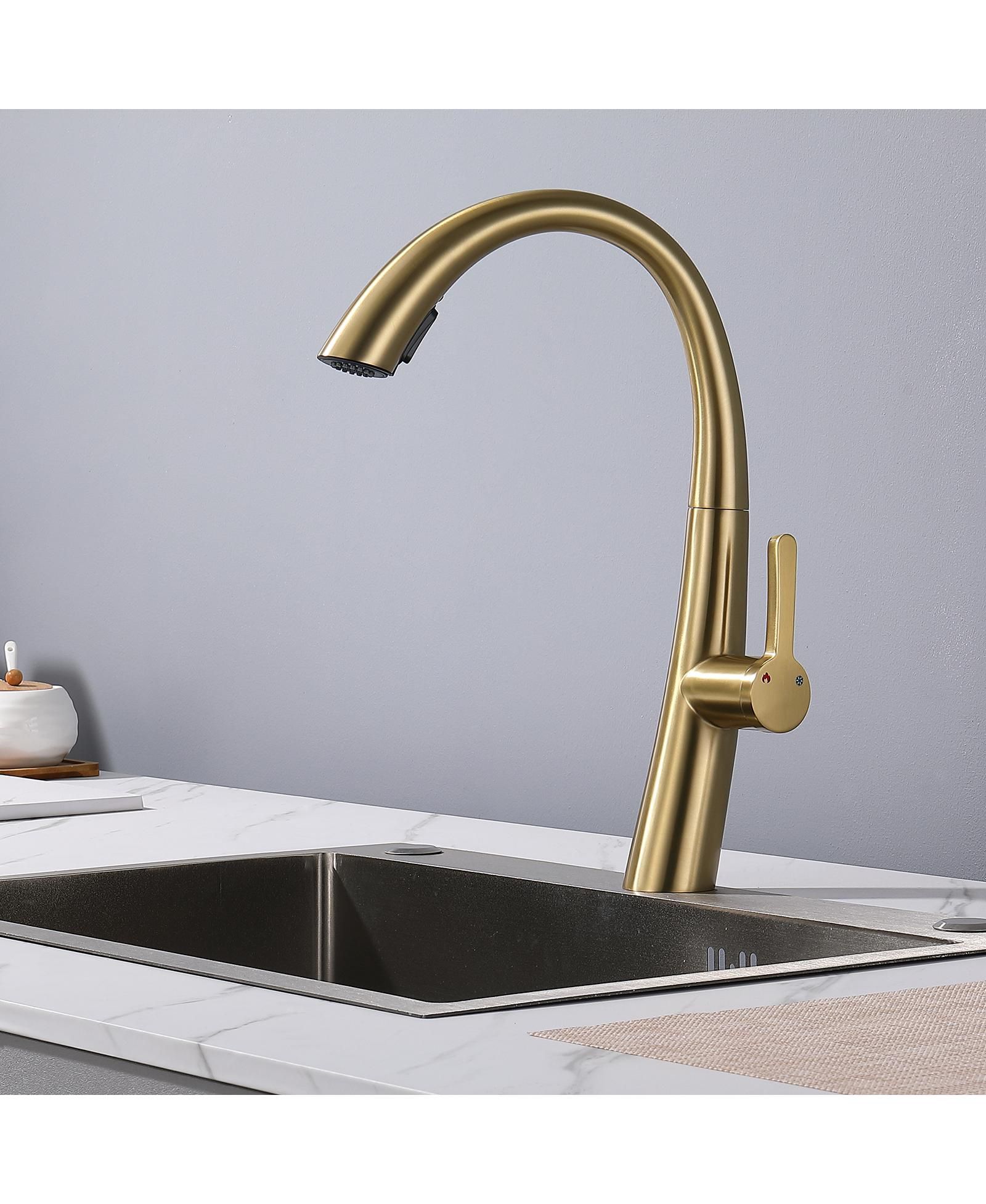 BUSDAYS Single Handle Stainless Steel Pull Out Kitchen Faucet