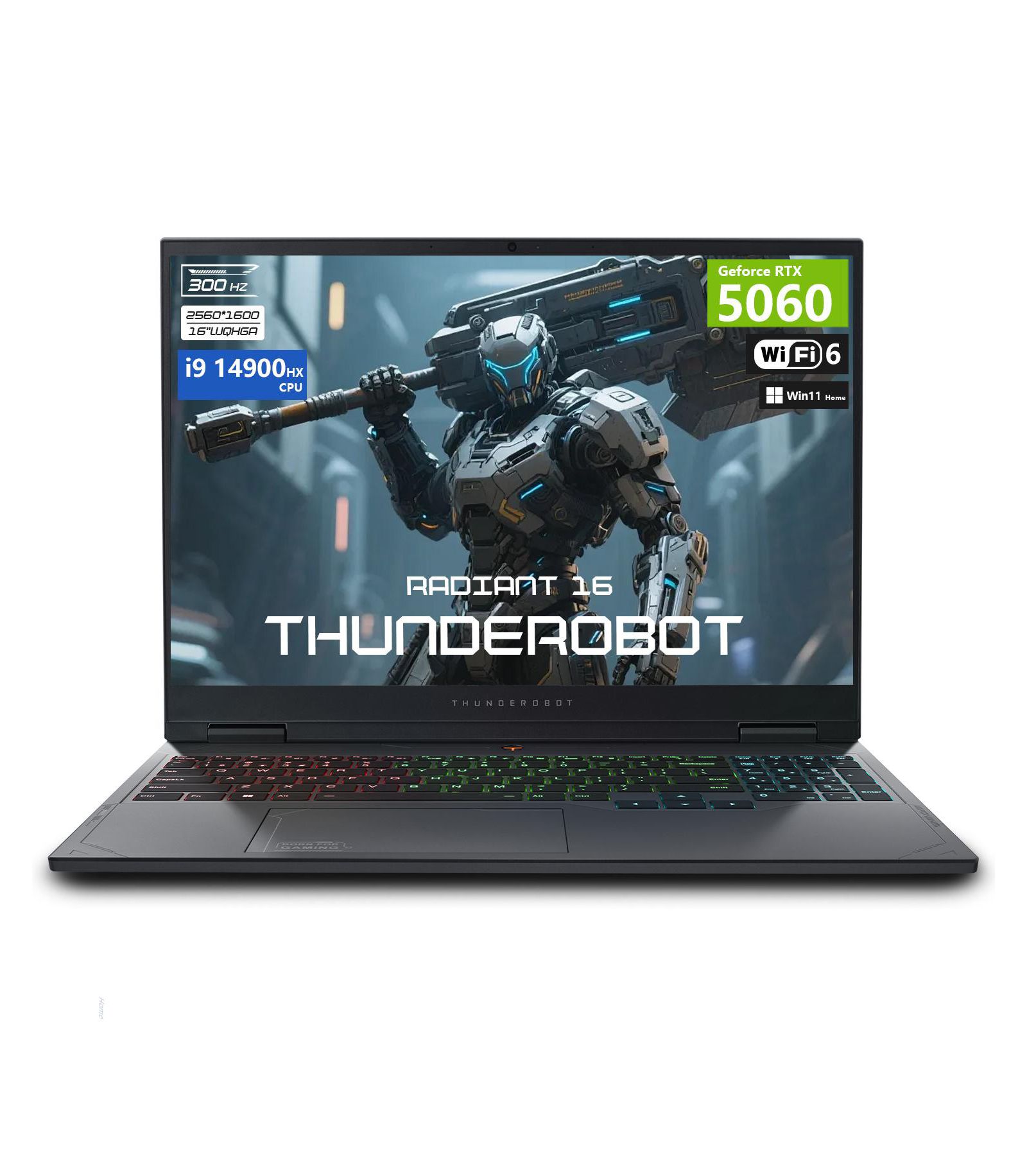 Thunderobot Radiant 16 Laptop