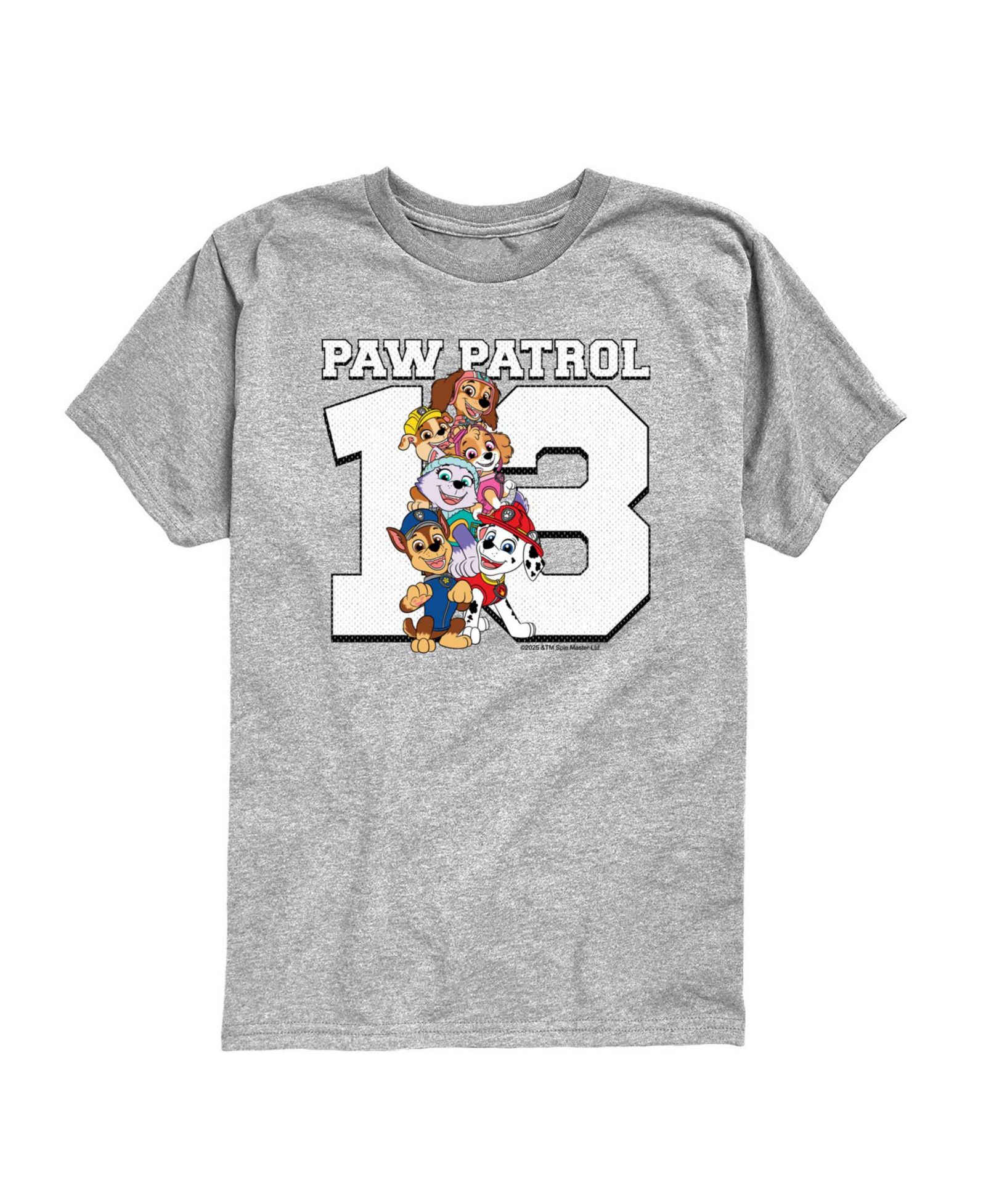 Paw Patrol Детская футболка с принтом для малышей 2T-5T