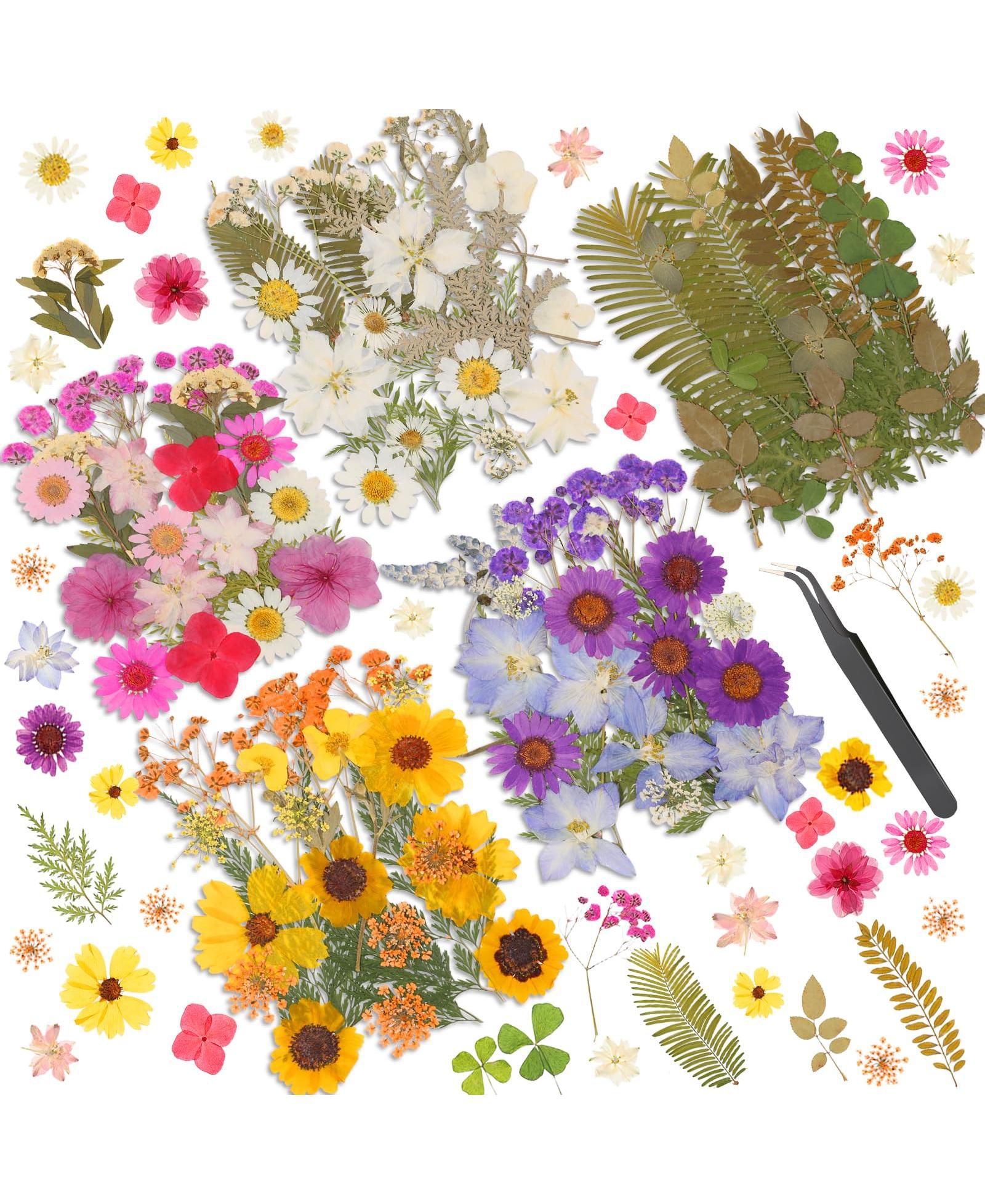 GNUADZ 140 PCS Dried Pressed Flowers Leaves Bulk Herbs Kit Scrapbooking DIY Art Crafts Epoxy Molds Candle Soap Making Nails Decor