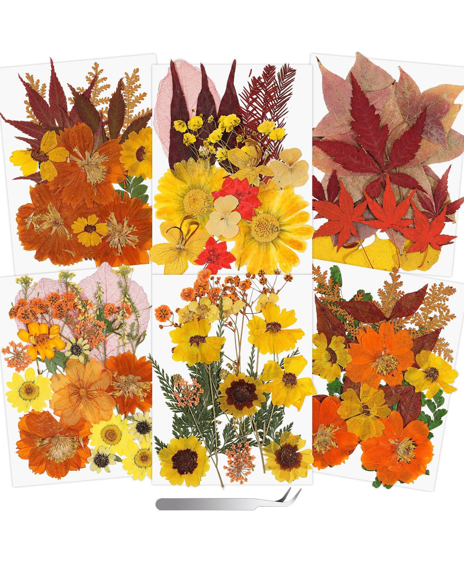 Набор сушеных цветов GNUADZ 100+ Real Dried Pressed Flowers Leaves для скрапбукинга