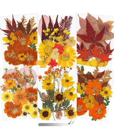 Набор сушеных цветов GNUADZ 100+ Real Dried Pressed Flowers Leaves для скрапбукинга