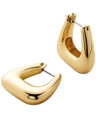 Серьги-кольца Ana Luisa Colene Gold-Plated Chunky