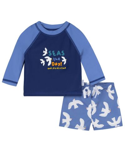 Blue birds