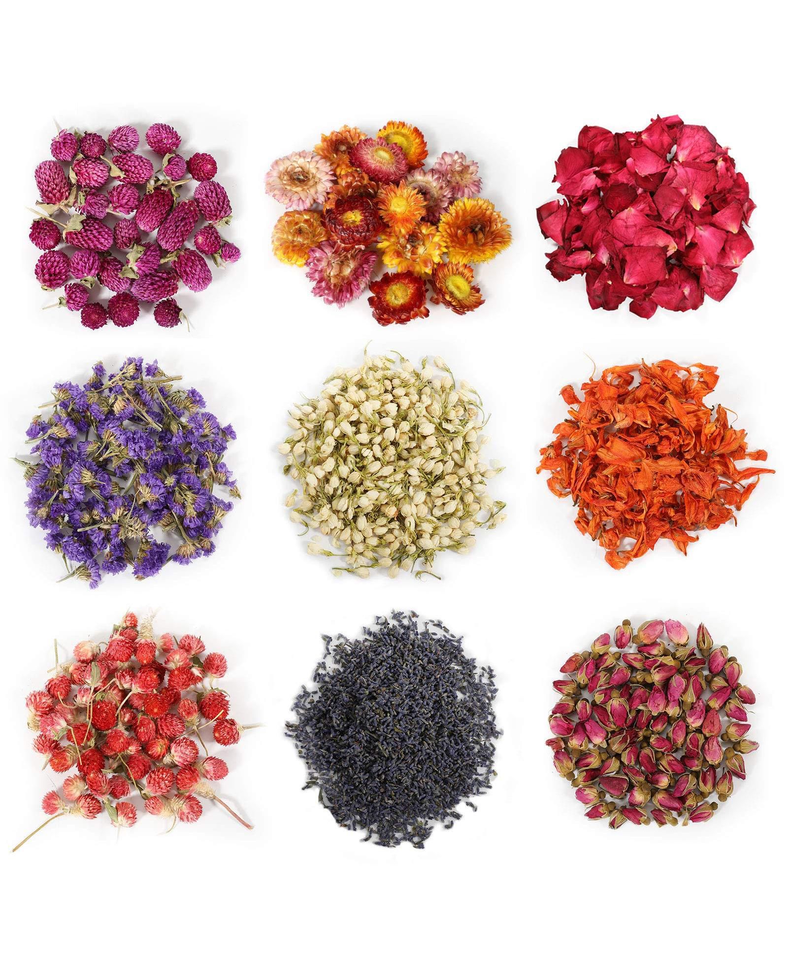 GNUADZ Dried Flower & Herb Kit 9 Bag