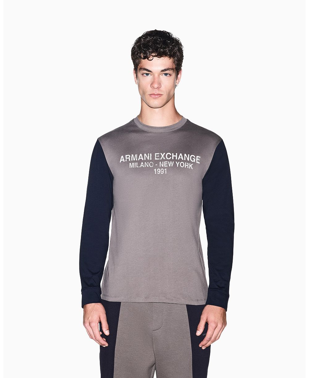Мужская футболка A|X Armani Exchange Color Block