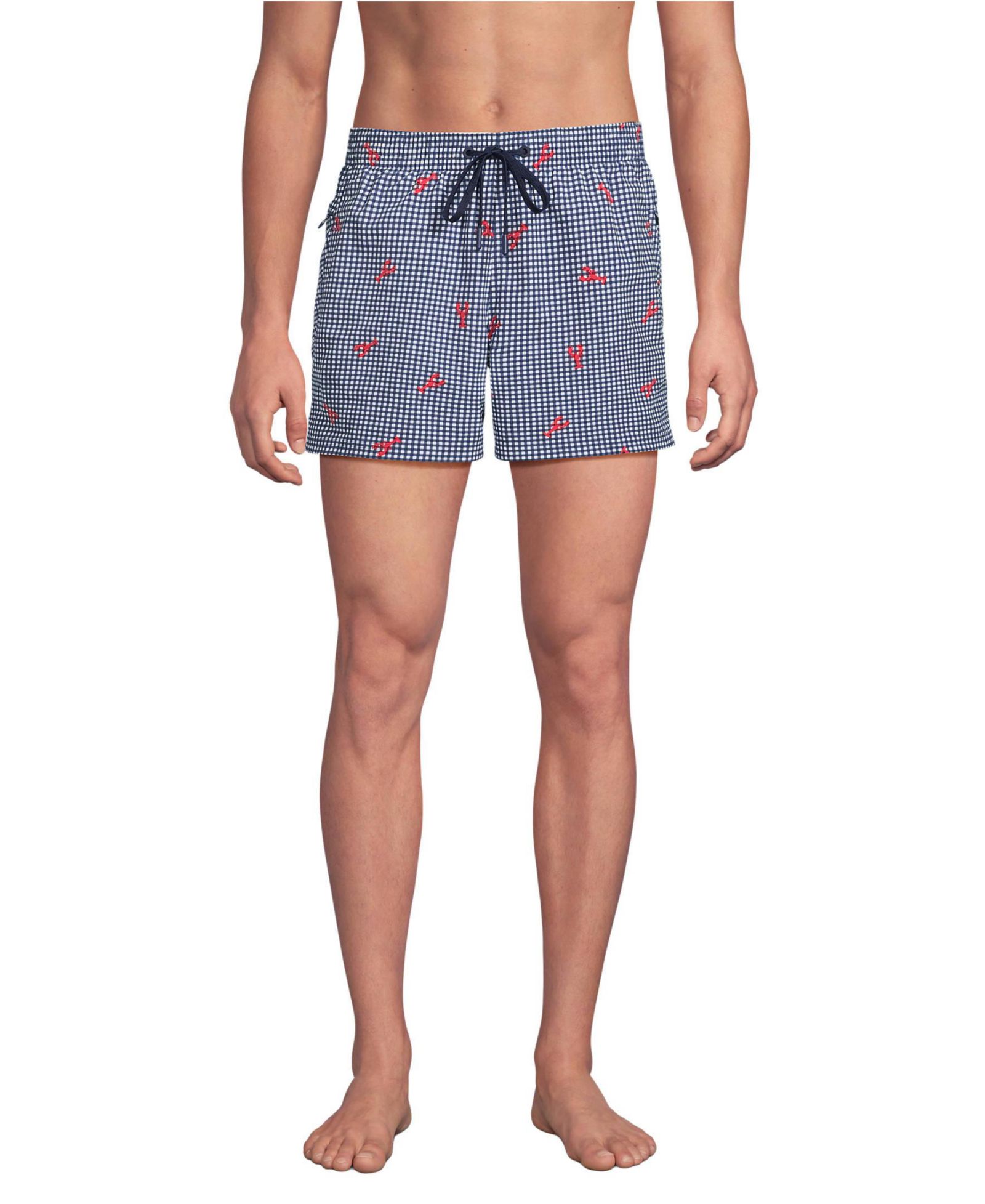 Lands' End Men's 5 Inch Volley Swim Trunk