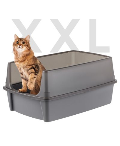 IRIS Extra Large Open Top Cat Litter Box with Scatter Shield, Sturdy Open Air Kitty Litter Pan with Tall Spray, Gray
